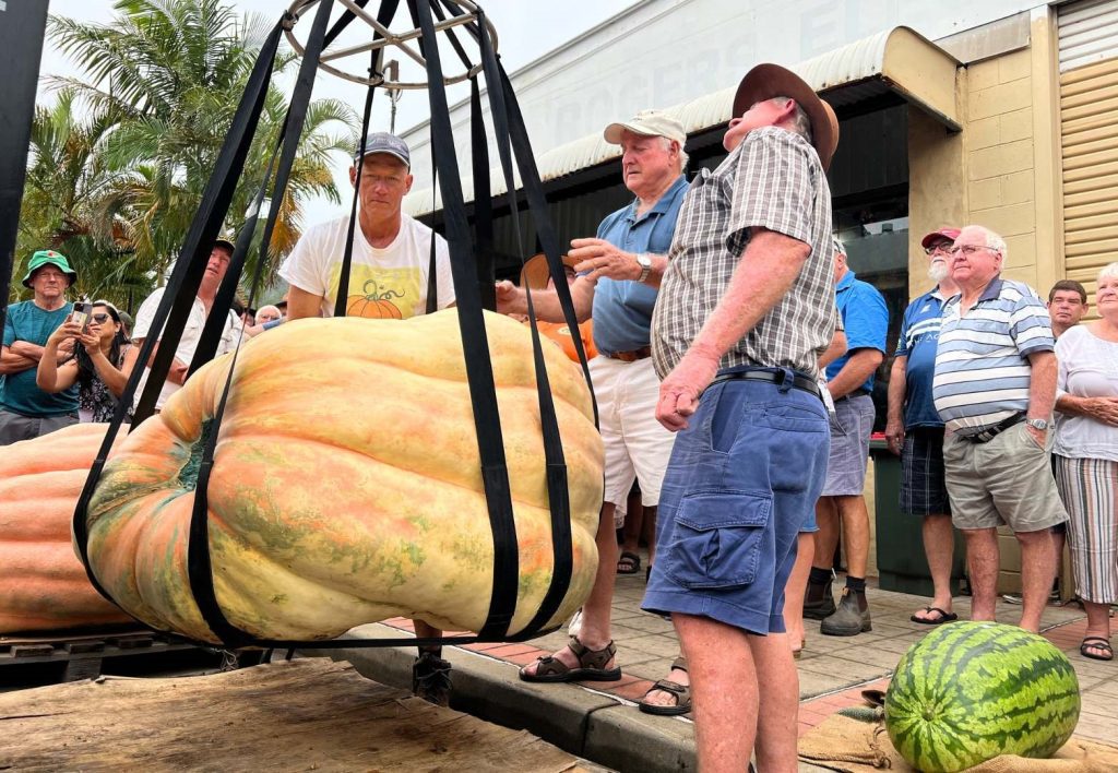 In his father’s footsteps Tony takes Kyogle’s giant pumpkin title