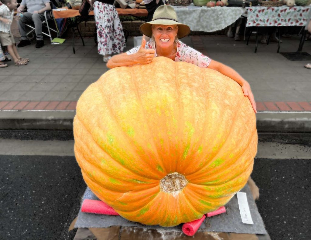 In his father’s footsteps Tony takes Kyogle’s giant pumpkin title